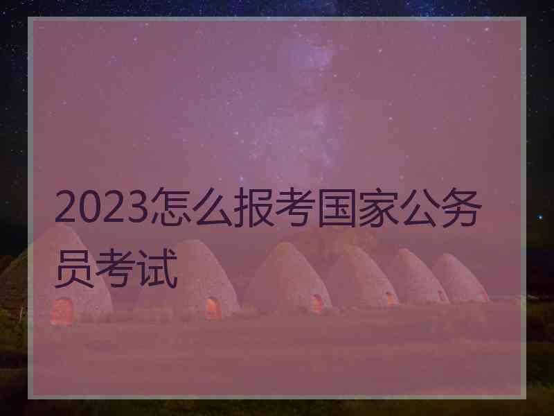 2023怎么报考国家公务员考试