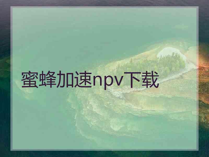 蜜蜂加速npv下载