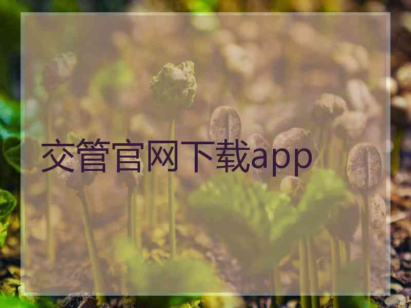 交管官网下载app