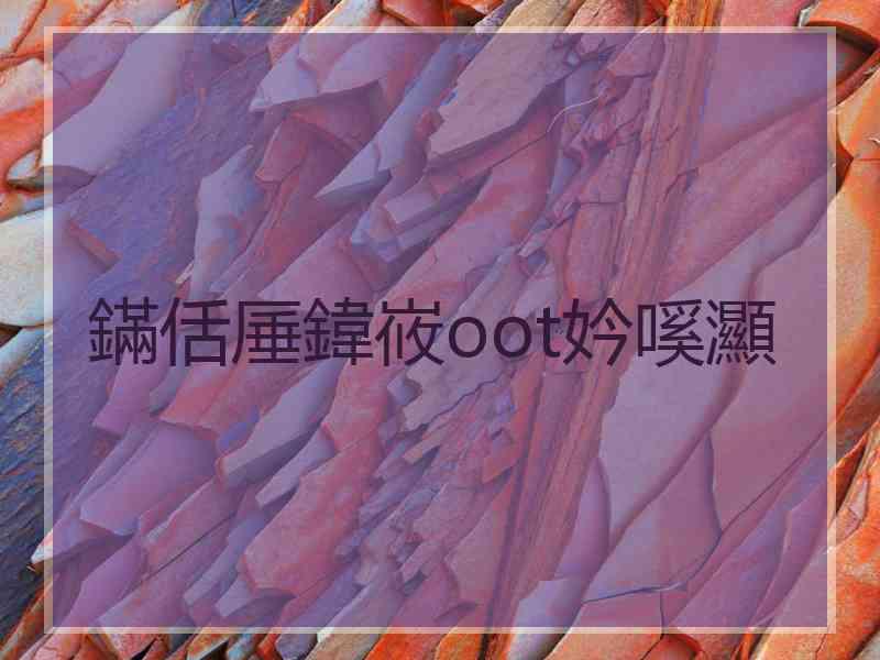 鏋佸厜鍏峳oot妗嗘灦