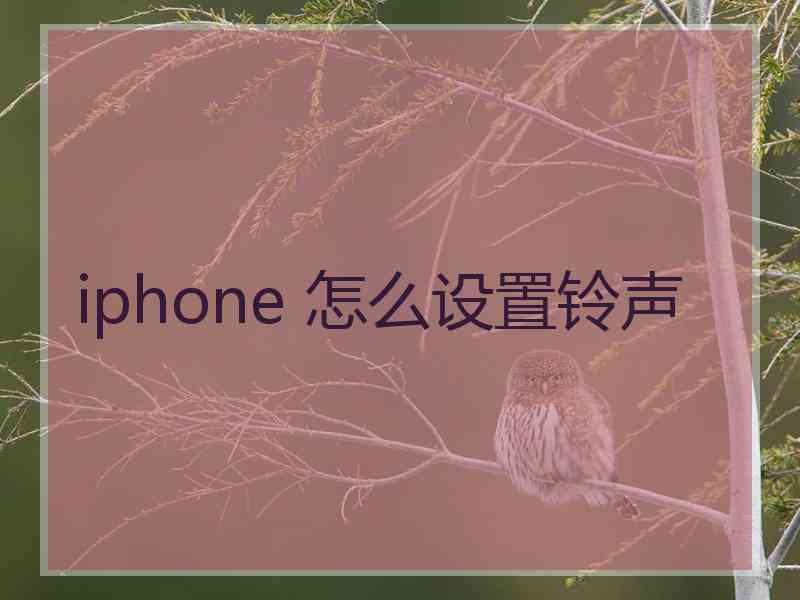 iphone 怎么设置铃声