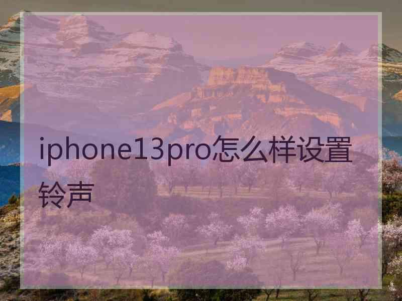 iphone13pro怎么样设置铃声