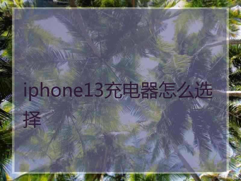 iphone13充电器怎么选择