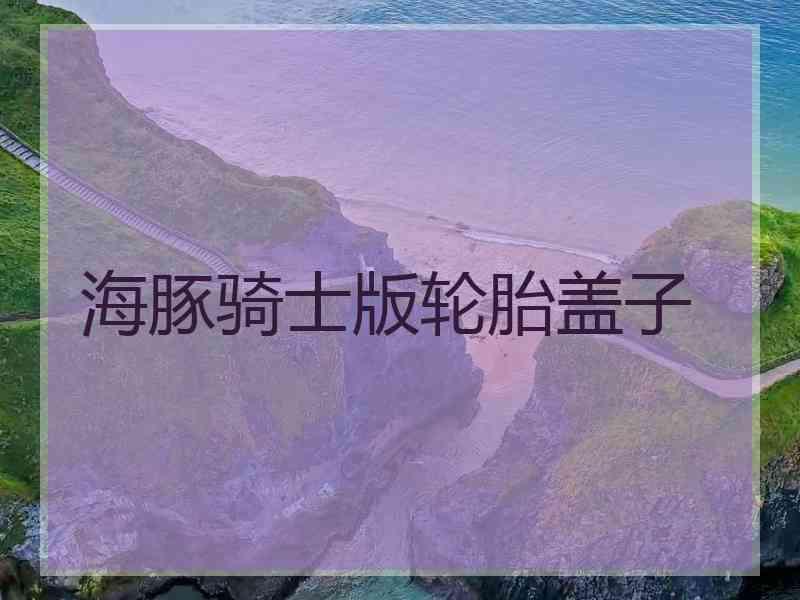 海豚骑士版轮胎盖子