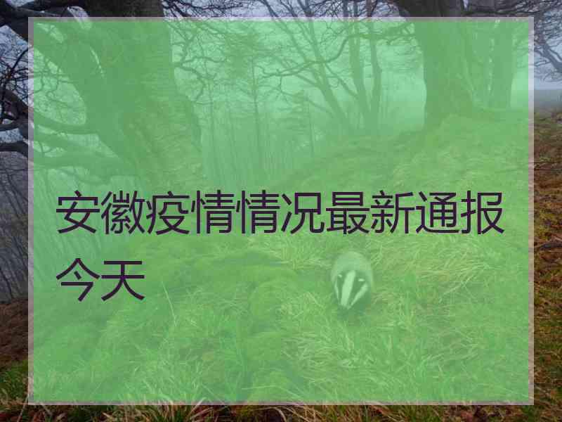 安徽疫情情况最新通报今天