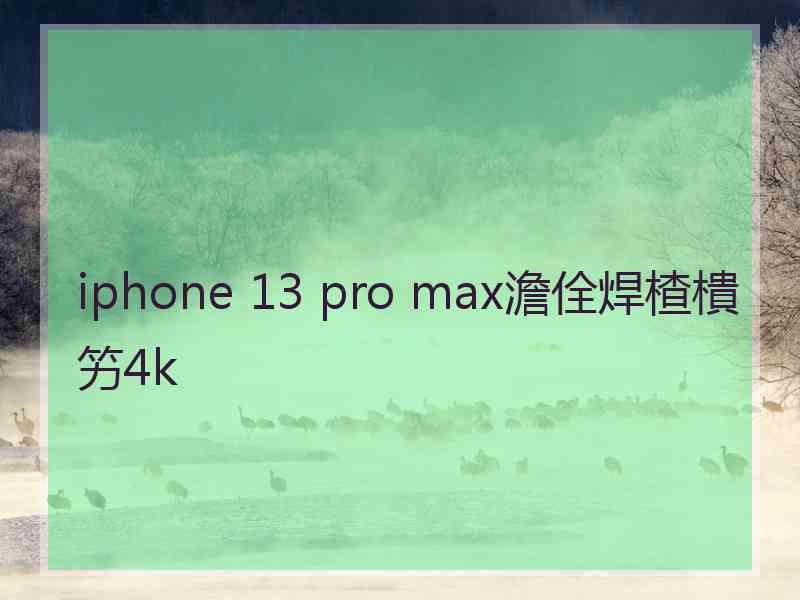 iphone 13 pro max澹佺焊楂樻竻4k