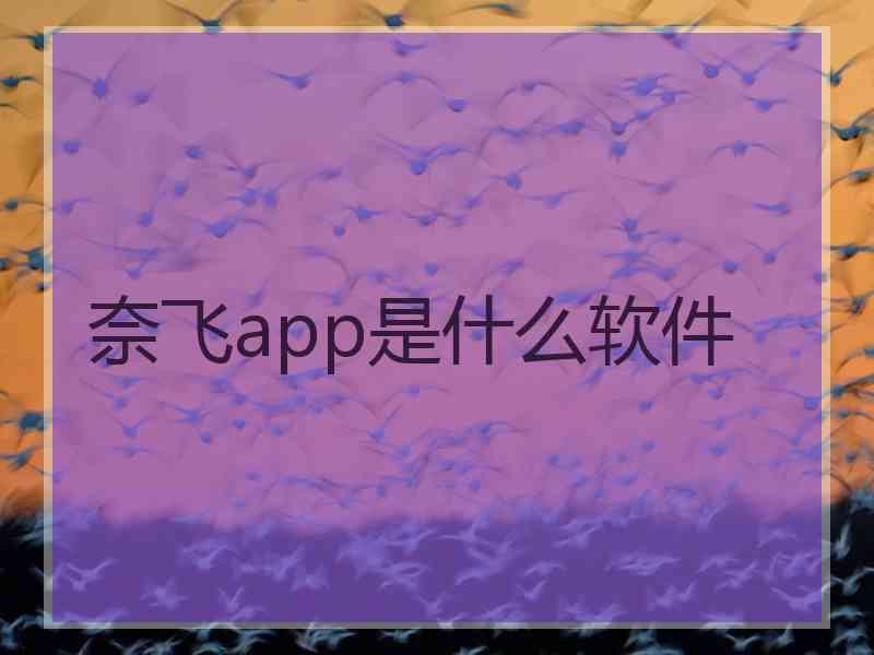 奈飞app是什么软件