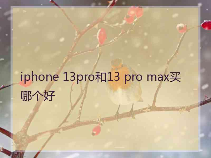 iphone 13pro和13 pro max买哪个好