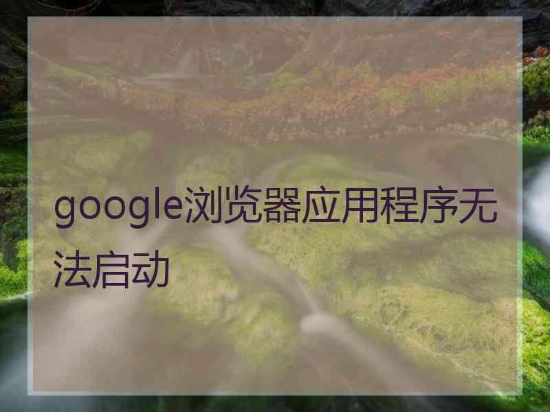 google浏览器应用程序无法启动