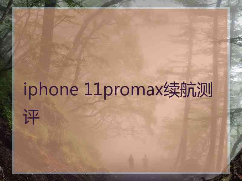 iphone 11promax续航测评