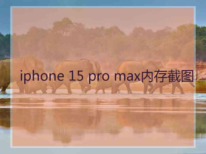 iphone 15 pro max内存截图