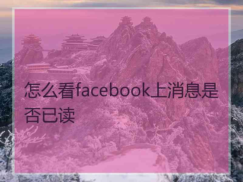 怎么看facebook上消息是否已读