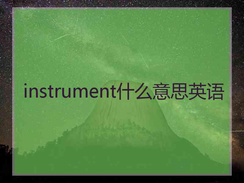 instrument什么意思英语