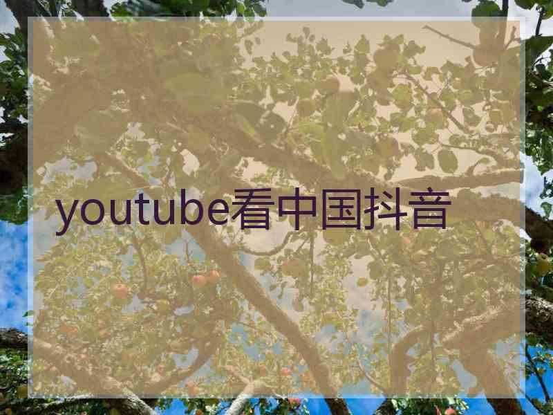 youtube看中国抖音