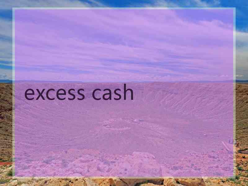 excess cash