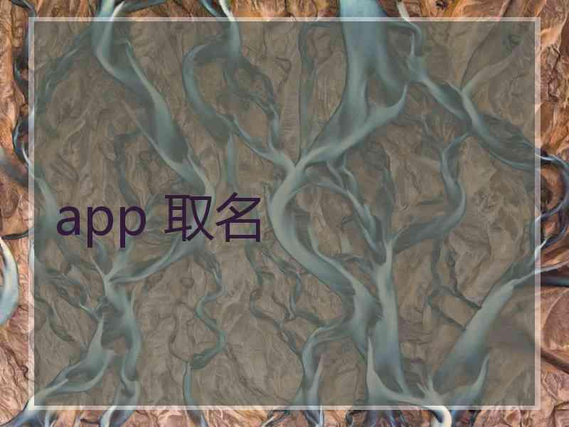 app 取名