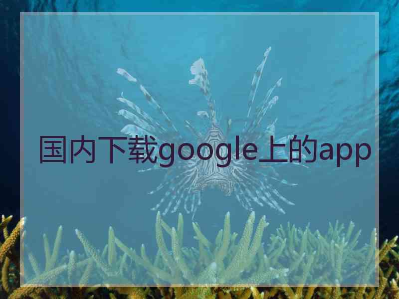 国内下载google上的app