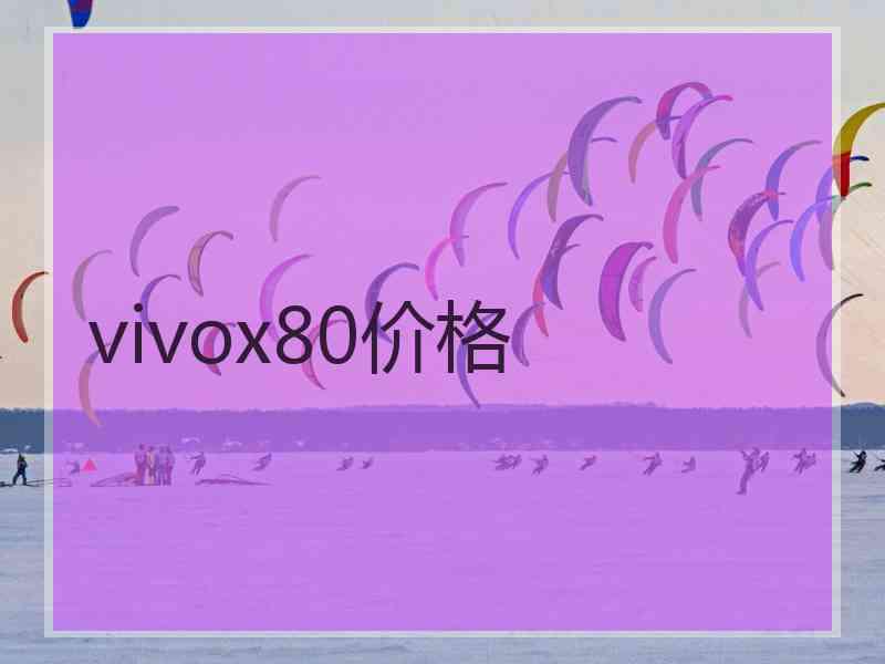 vivox80价格