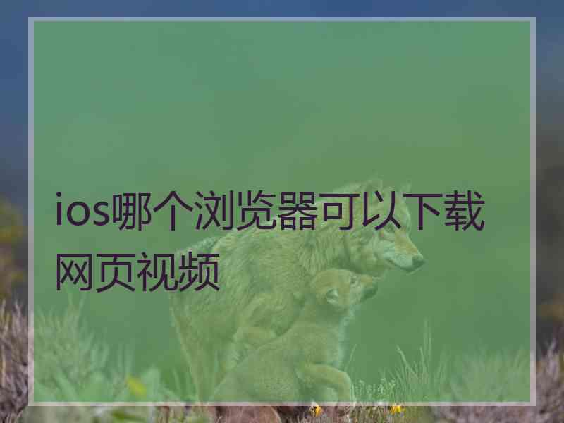 ios哪个浏览器可以下载网页视频