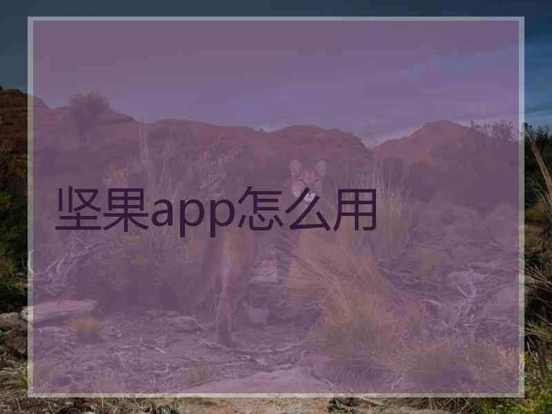 坚果app怎么用