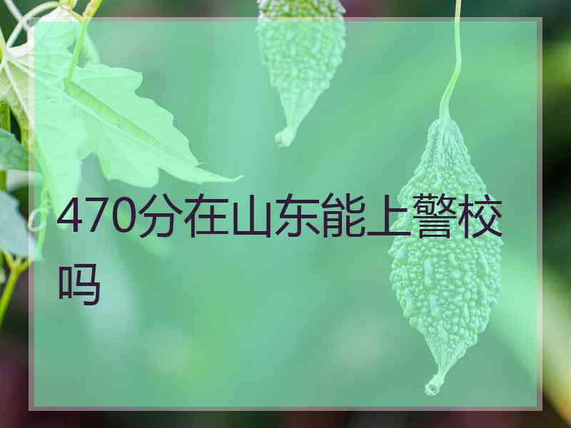 470分在山东能上警校吗