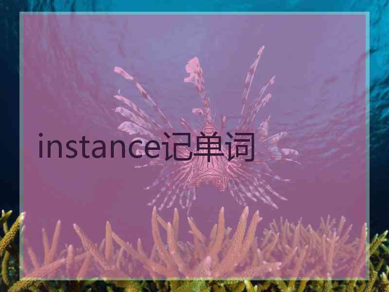 instance记单词