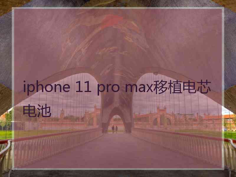 iphone 11 pro max移植电芯电池