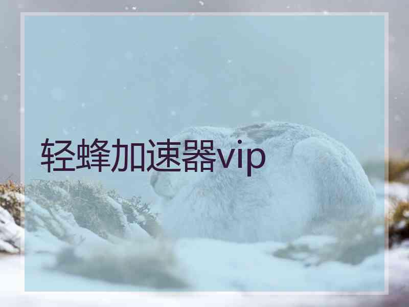 轻蜂加速器vip