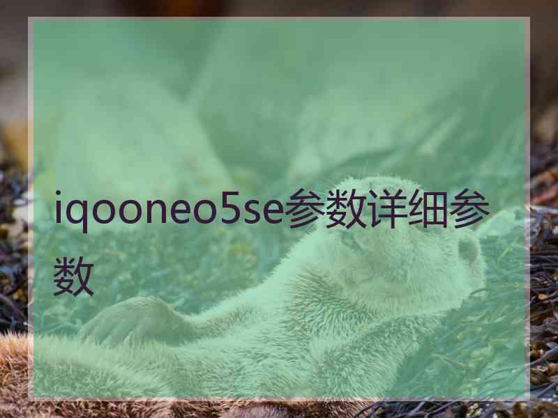 iqooneo5se参数详细参数