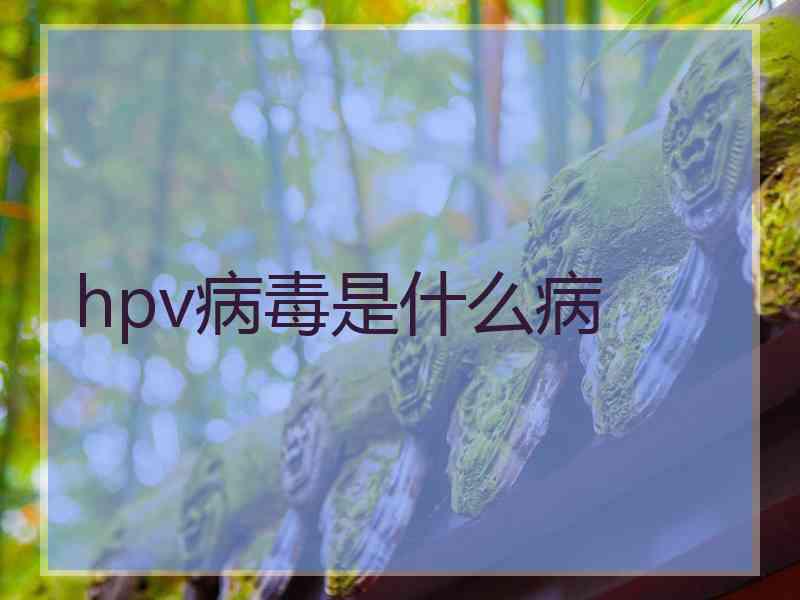 hpv病毒是什么病