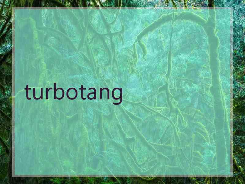 turbotang