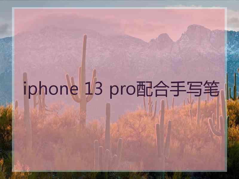 iphone 13 pro配合手写笔