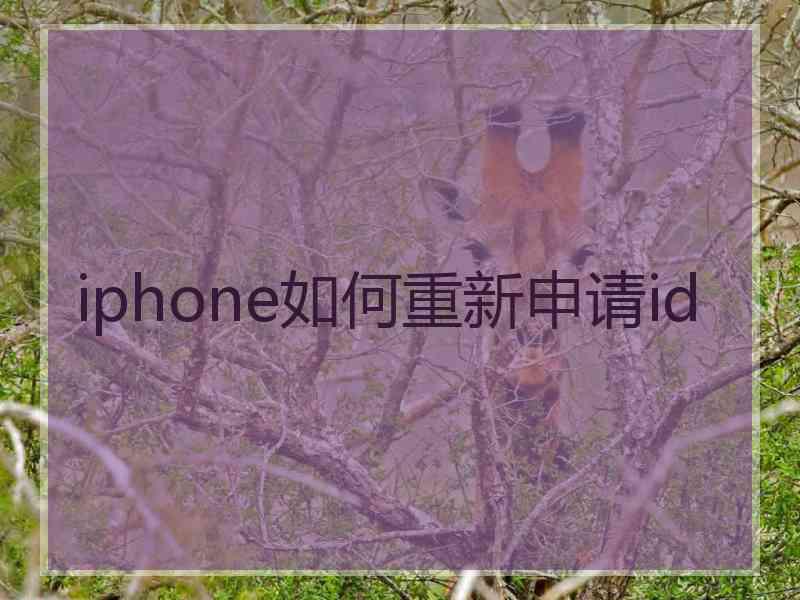 iphone如何重新申请id