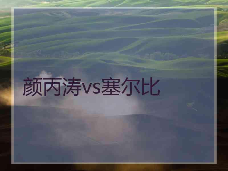 颜丙涛vs塞尔比