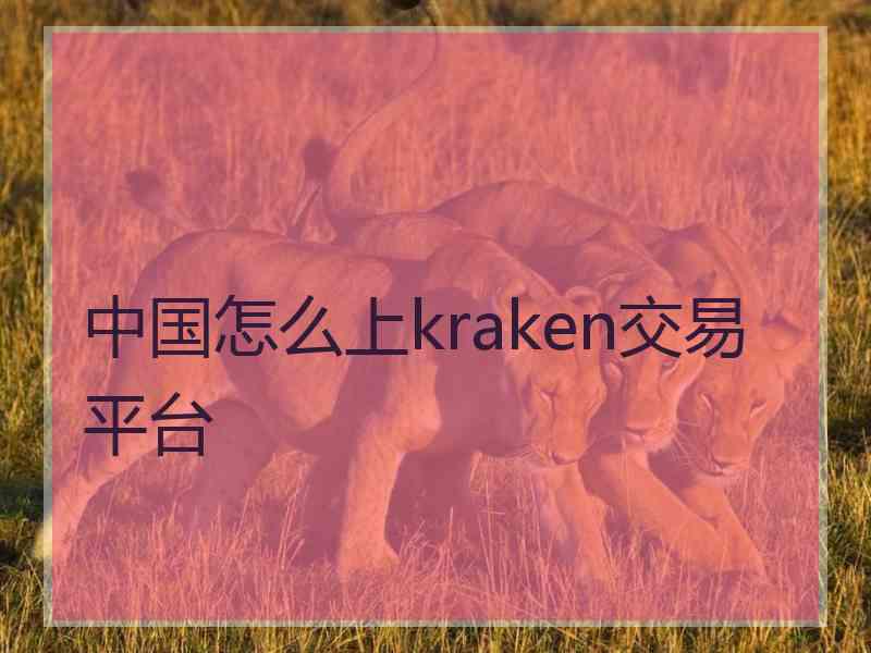 中国怎么上kraken交易平台