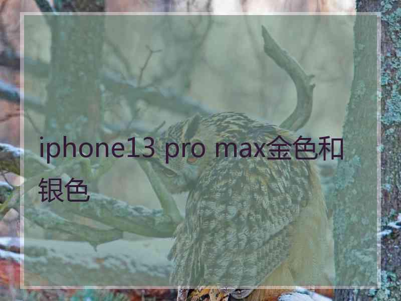 iphone13 pro max金色和银色