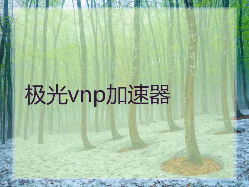 极光vnp加速器