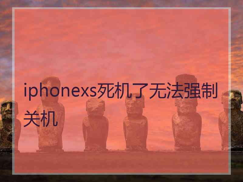 iphonexs死机了无法强制关机