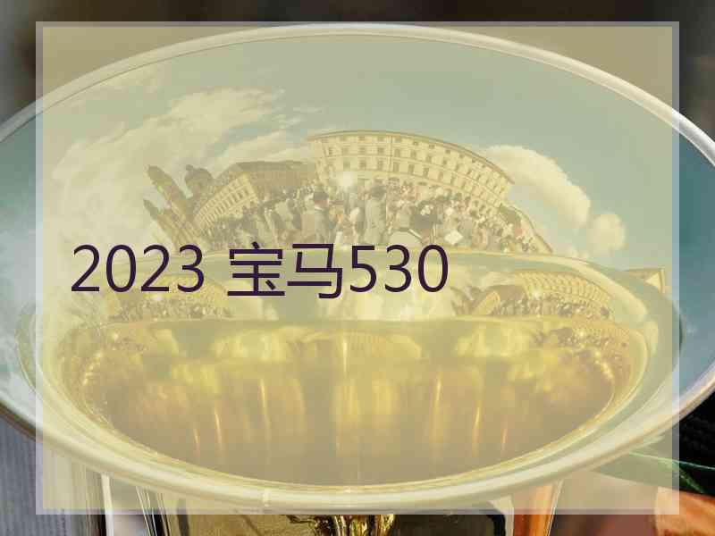 2023 宝马530