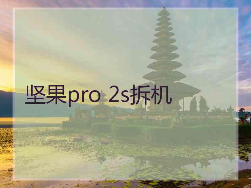 坚果pro 2s拆机