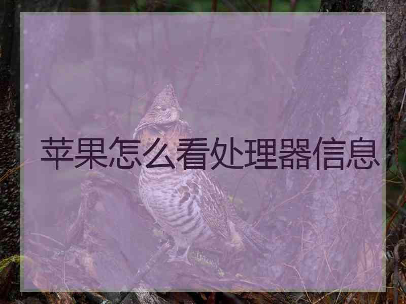 苹果怎么看处理器信息