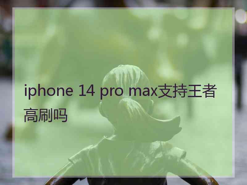 iphone 14 pro max支持王者高刷吗