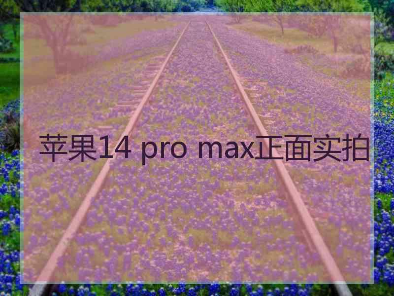 苹果14 pro max正面实拍