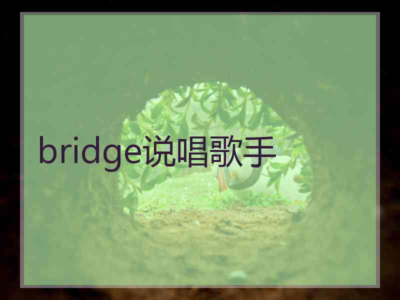 bridge说唱歌手