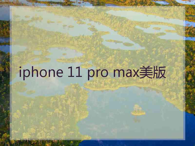 iphone 11 pro max美版