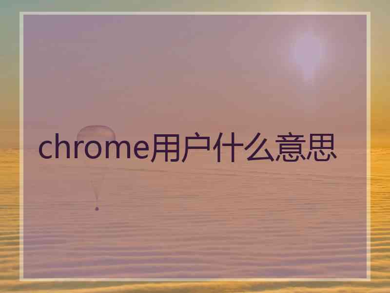 chrome用户什么意思