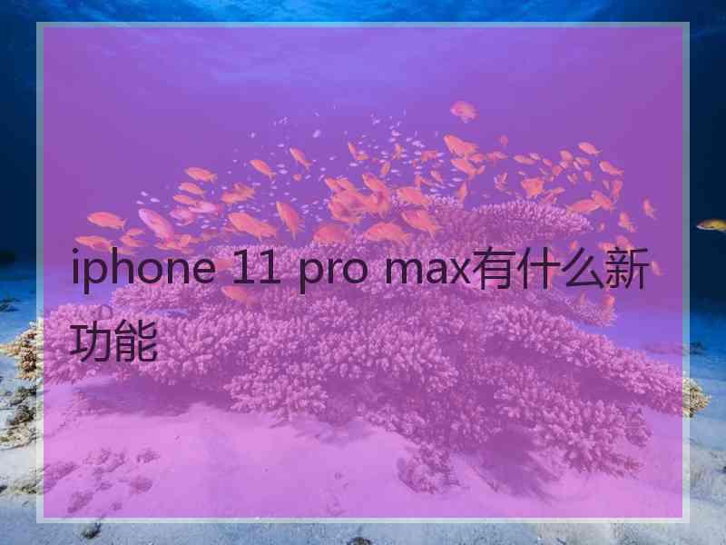 iphone 11 pro max有什么新功能