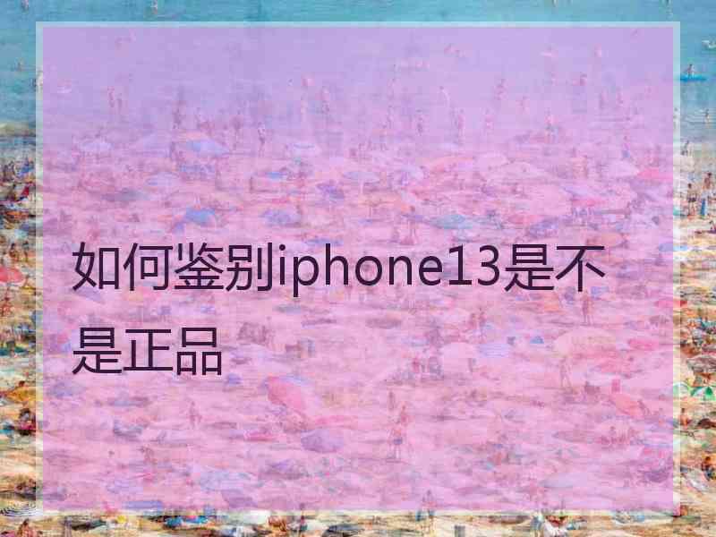 如何鉴别iphone13是不是正品