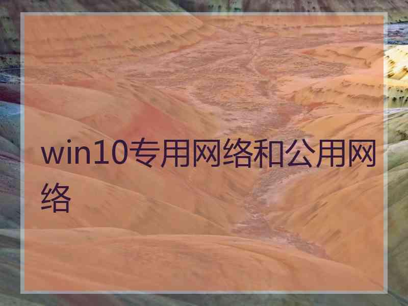 win10专用网络和公用网络