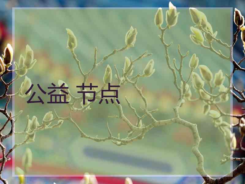 公益 节点